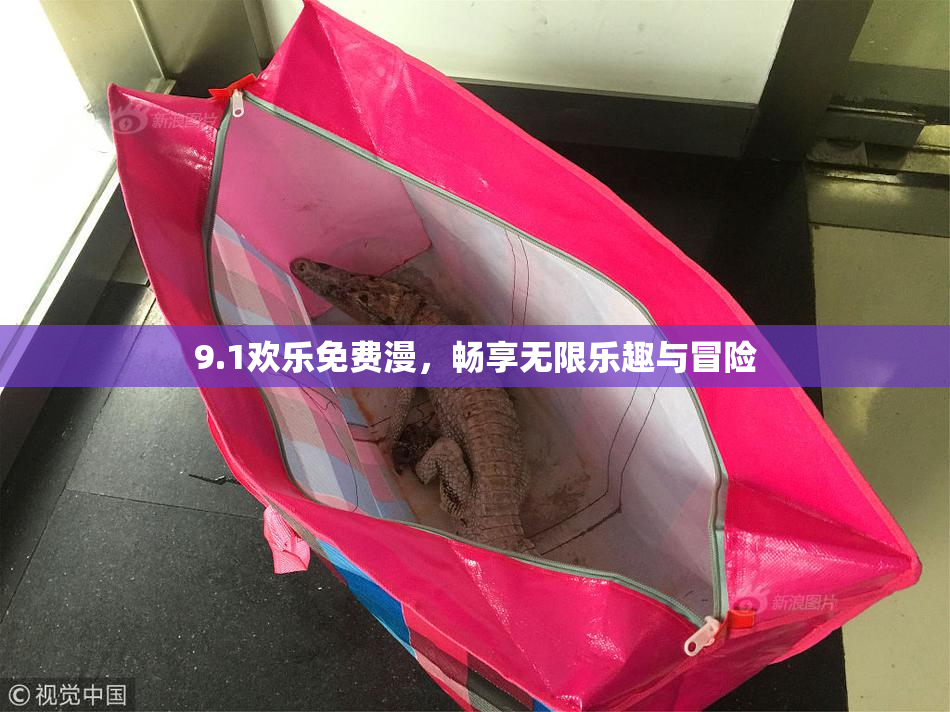 9.1欢乐免费漫，畅享无限乐趣与冒险
