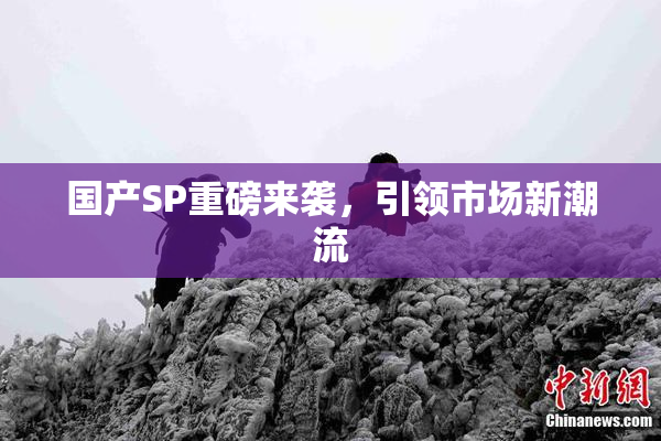 国产SP重磅来袭，引领市场新潮流