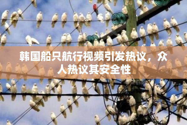 韩国船只航行视频引发热议，众人热议其安全性
