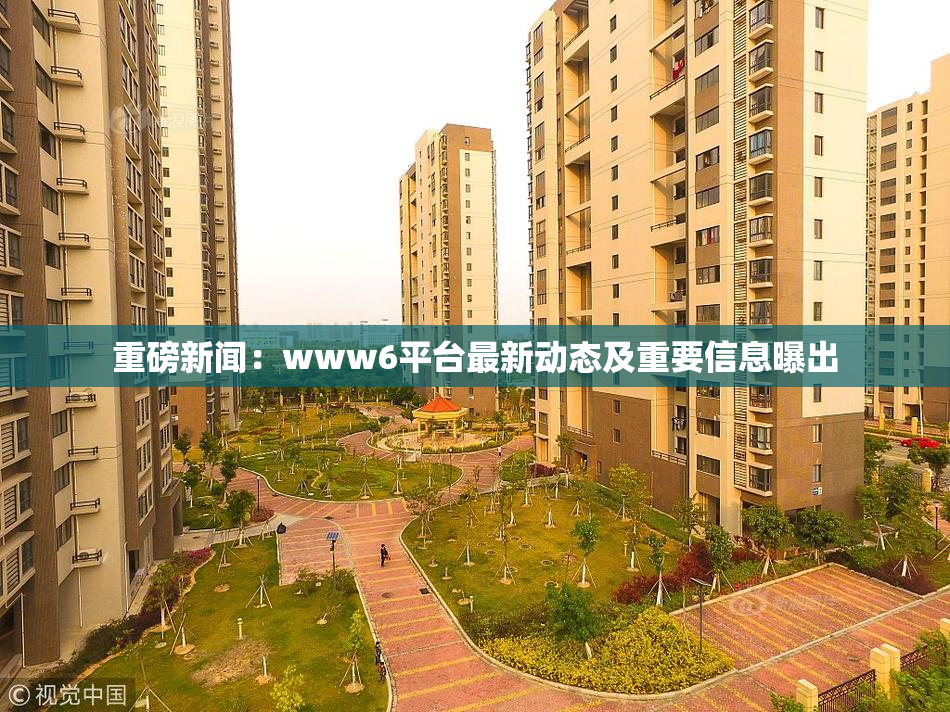 重磅新闻：www6平台最新动态及重要信息曝出