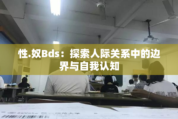 性.奴Bds：探索人际关系中的边界与自我认知