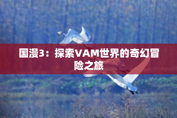国漫3：探索VAM世界的奇幻冒险之旅