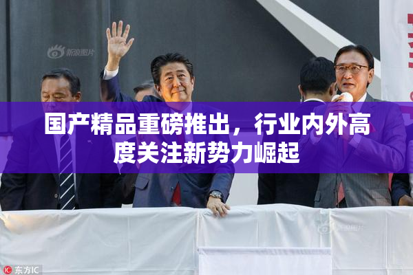国产精品重磅推出，行业内外高度关注新势力崛起