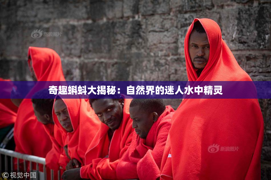 奇趣蝌蚪大揭秘：自然界的迷人水中精灵