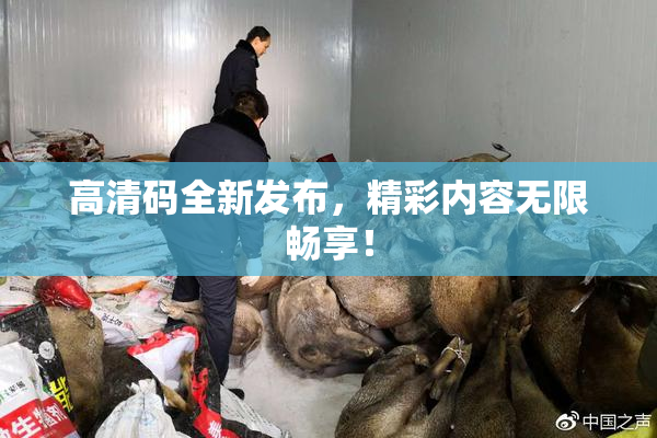 高清码全新发布，精彩内容无限畅享！