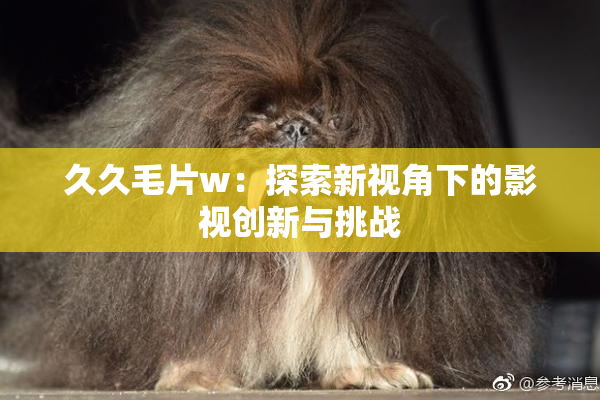 久久毛片w：探索新视角下的影视创新与挑战
