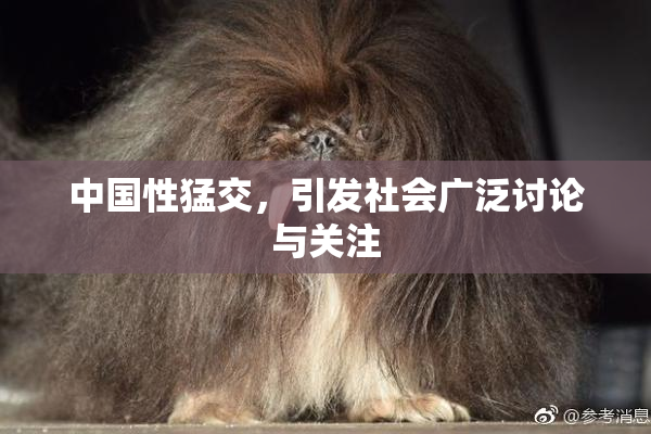 中国性猛交，引发社会广泛讨论与关注