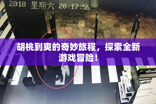 胡桃到爽的奇妙旅程，探索全新游戏冒险！