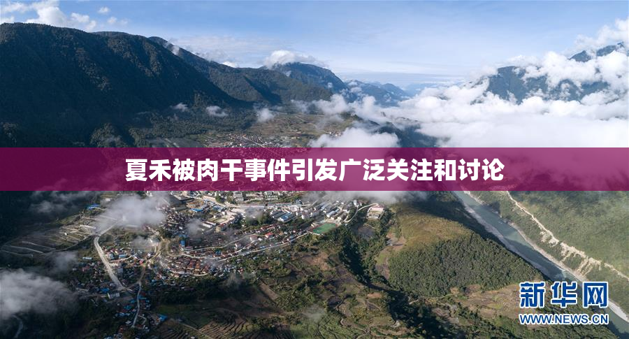 夏禾被肉干事件引发广泛关注和讨论