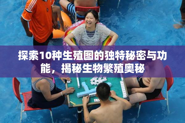 探索10种生殖图的独特秘密与功能，揭秘生物繁殖奥秘