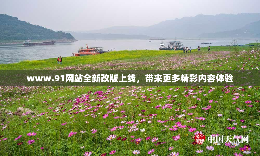 www.91网站全新改版上线，带来更多精彩内容体验