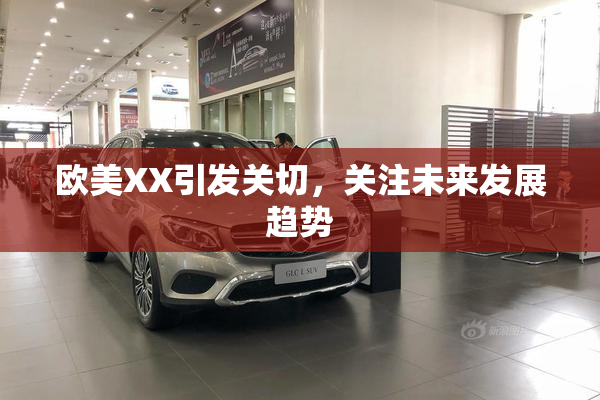 欧美XX引发关切，关注未来发展趋势