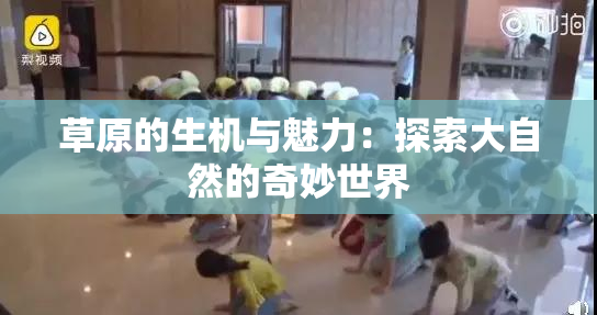 草原的生机与魅力：探索大自然的奇妙世界