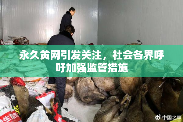 永久黄网引发关注，社会各界呼吁加强监管措施