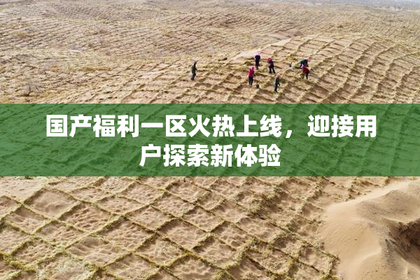 国产福利一区火热上线，迎接用户探索新体验