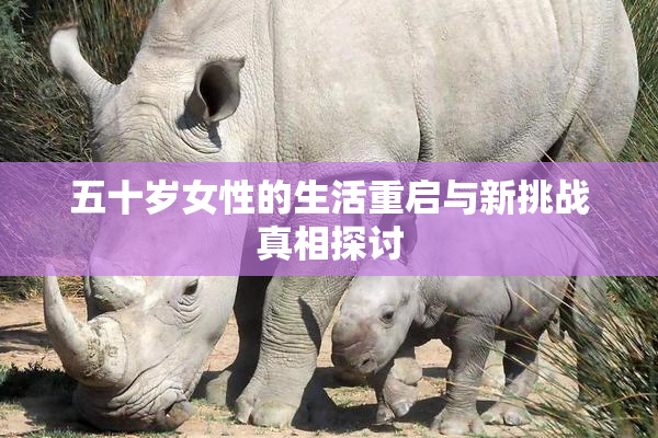 五十岁女性的生活重启与新挑战真相探讨