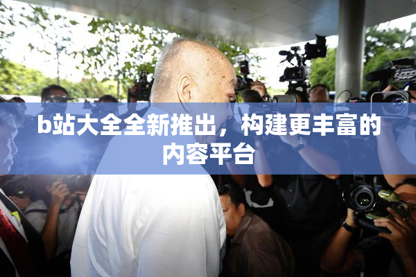 b站大全全新推出，构建更丰富的内容平台