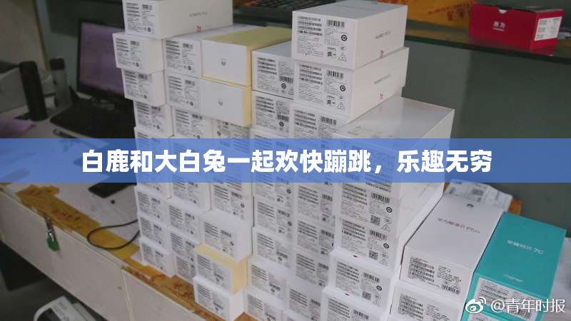 白鹿和大白兔一起欢快蹦跳，乐趣无穷