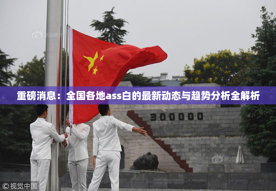 重磅消息：全国各地ass白的最新动态与趋势分析全解析