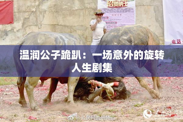 温润公子跪趴：一场意外的旋转人生剧集