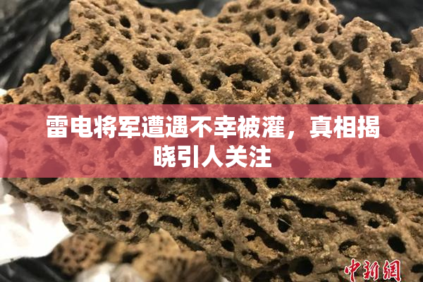 雷电将军遭遇不幸被灌，真相揭晓引人关注