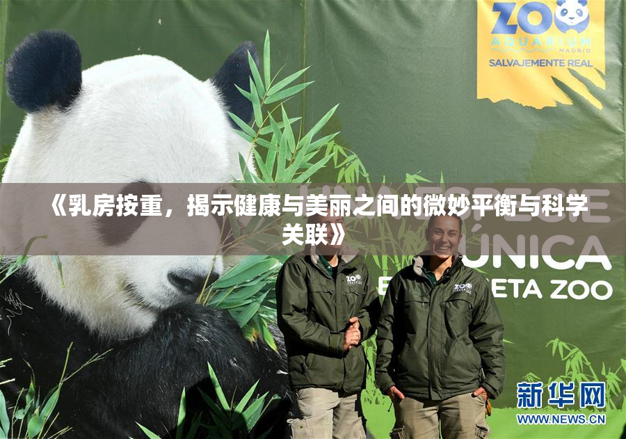 《乳房按重，揭示健康与美丽之间的微妙平衡与科学关联》