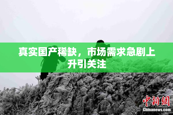 真实国产稀缺，市场需求急剧上升引关注