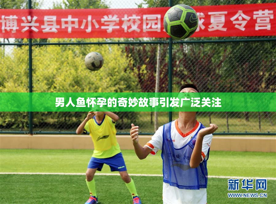 男人鱼怀孕的奇妙故事引发广泛关注