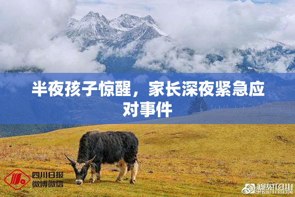 半夜孩子惊醒，家长深夜紧急应对事件