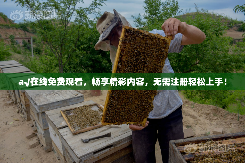 a√在线免费观看，畅享精彩内容，无需注册轻松上手！