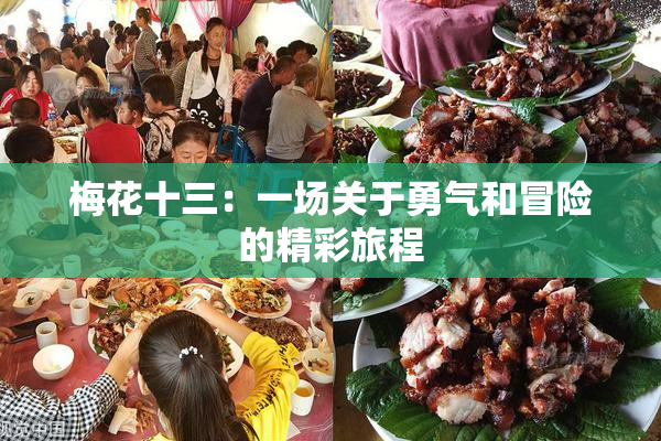 梅花十三：一场关于勇气和冒险的精彩旅程