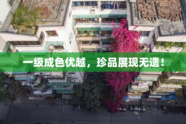 一级成色优越，珍品展现无遗！