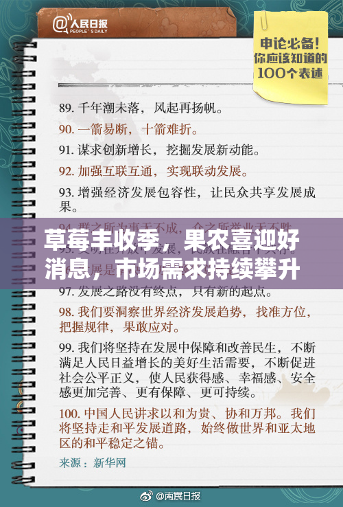 草莓丰收季，果农喜迎好消息，市场需求持续攀升！