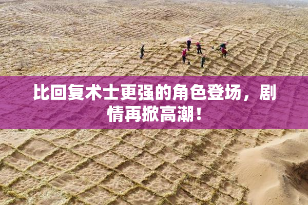 比回复术士更强的角色登场，剧情再掀高潮！