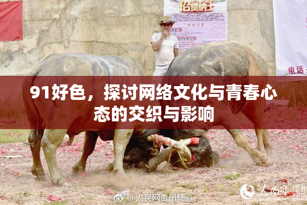 91好色，探讨网络文化与青春心态的交织与影响