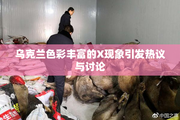 乌克兰色彩丰富的X现象引发热议与讨论