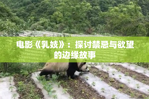 电影《乳妓》：探讨禁忌与欲望的边缘故事