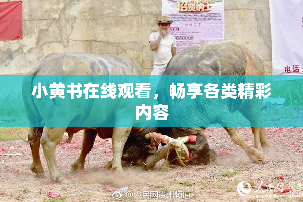 小黄书在线观看，畅享各类精彩内容