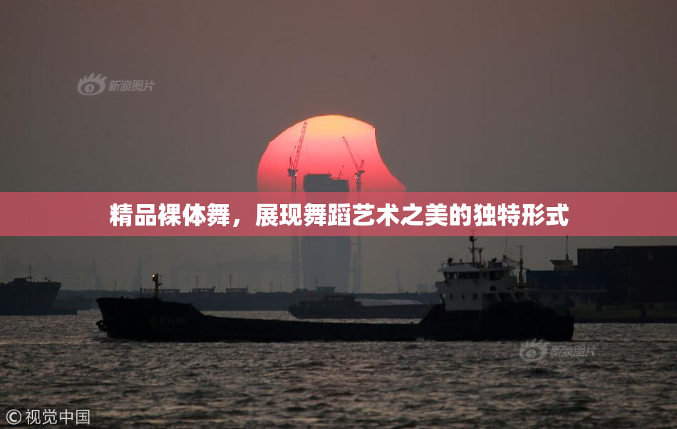 精品裸体舞，展现舞蹈艺术之美的独特形式