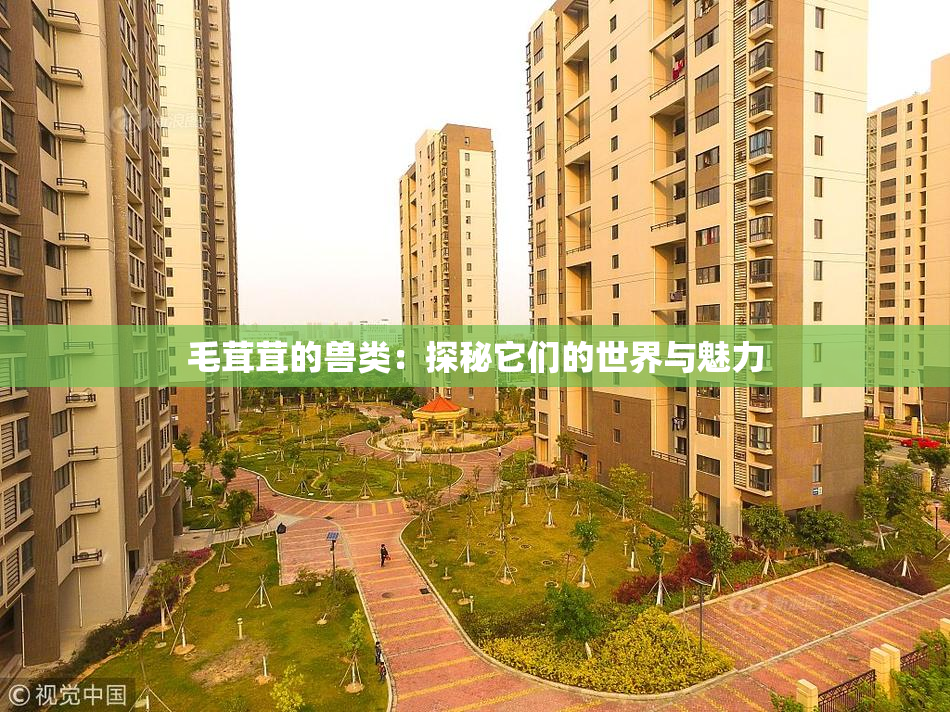 毛茸茸的兽类：探秘它们的世界与魅力
