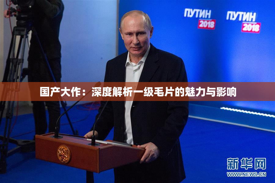 国产大作：深度解析一级毛片的魅力与影响