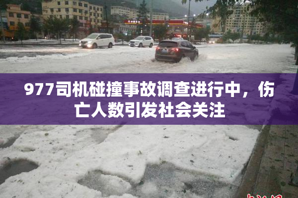 977司机碰撞事故调查进行中，伤亡人数引发社会关注