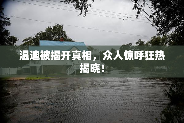 温迪被揭开真相，众人惊呼狂热揭晓！