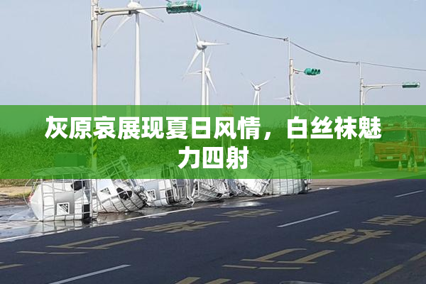 灰原哀展现夏日风情，白丝袜魅力四射