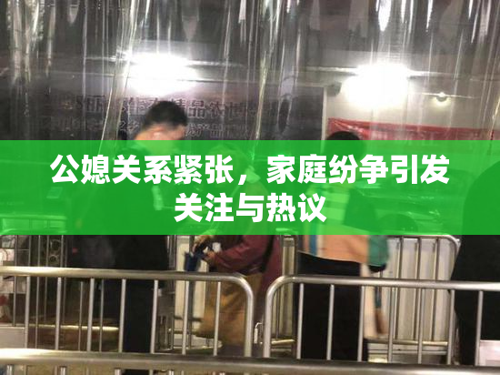 公媳关系紧张，家庭纷争引发关注与热议