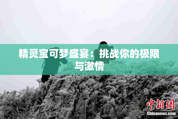 精灵宝可梦盛宴：挑战你的极限与激情