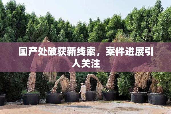 国产处破获新线索，案件进展引人关注