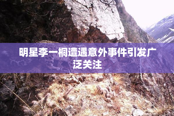 明星李一桐遭遇意外事件引发广泛关注