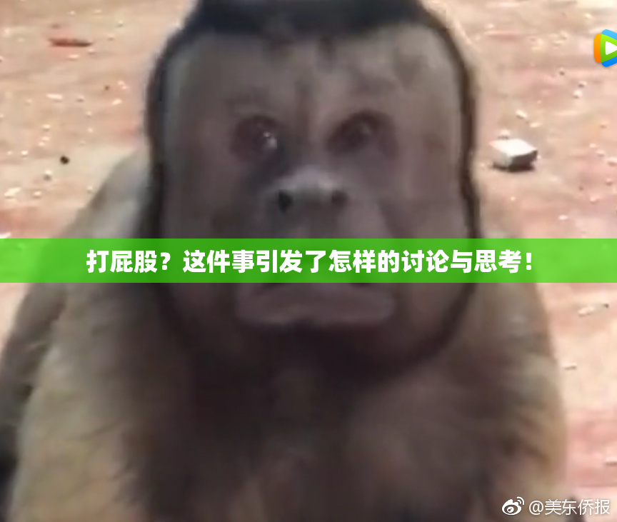 打屁股？这件事引发了怎样的讨论与思考！