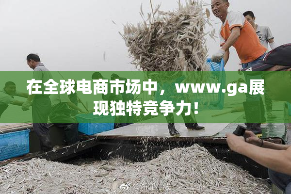 在全球电商市场中，www.ga展现独特竞争力！